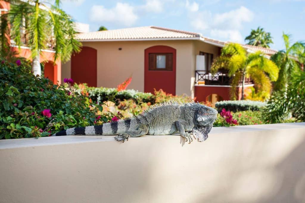 Spanish Water A1 ウィレムスタッド エクステリア 写真
